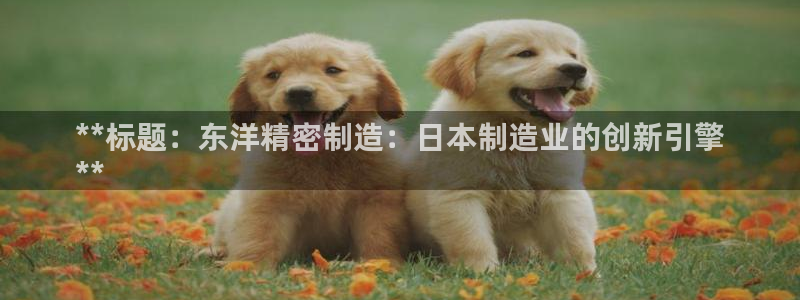 彩神旗下有哪些平台：**标题：东洋精密制造：日本制造业的创新引擎
**