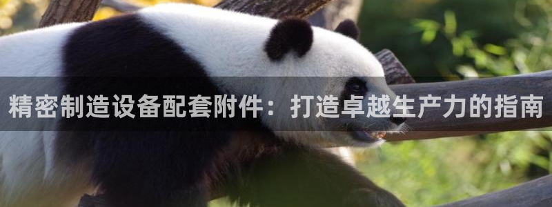 彩神vii购彩l心：精密制造设备配套附件：打造卓越生产力的指南