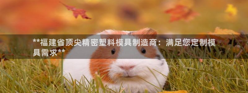 彩神v8是真的挣钱吗知乎：**福建省顶尖精密塑料模具制造商：满足您定制模
具需求**