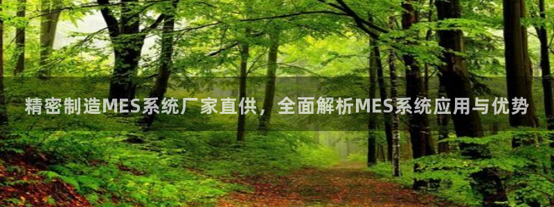 彩神vll官网在线登录：精密制造MES系统厂家直供，全面解析MES系统应用与优势