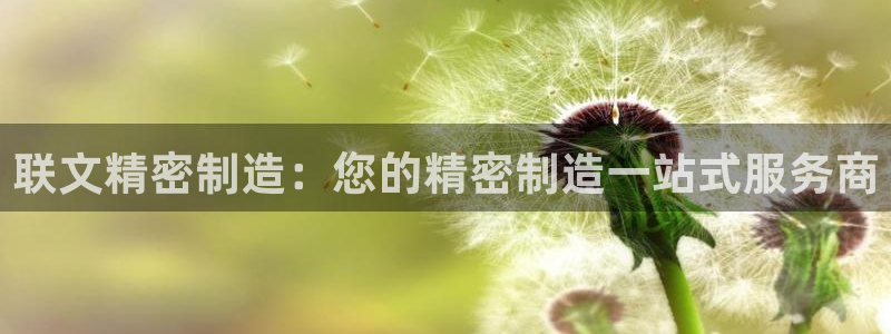 彩神是怎样一个平台：联文精密制造：您的精密制造一站式服务商