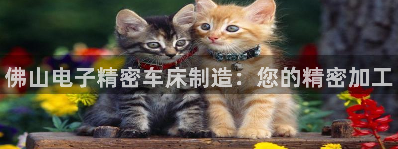 彩神Vll购彩大厅：佛山电子精密车床制造：您的精密加工
