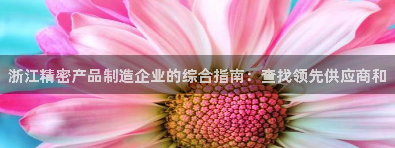 彩神ii官方网：浙江精密产品制造企业的综合指南：查找领先供应商和
