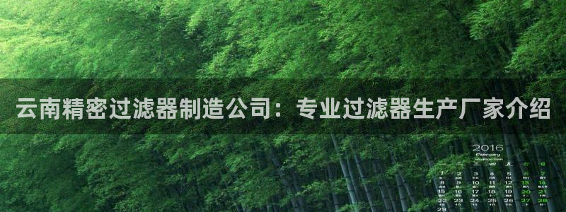 彩神盈利图片：云南精密过滤器制造公司：专业过滤器生产厂家介绍