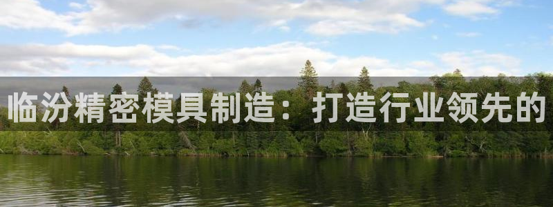 彩神v8官网版：临汾精密模具制造：打造行业领先的