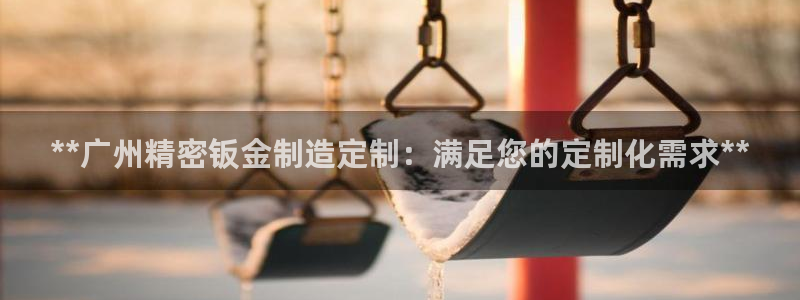 彩神平台是真的吗：**广州精密钣金制造定制：满足您的定制化需求**