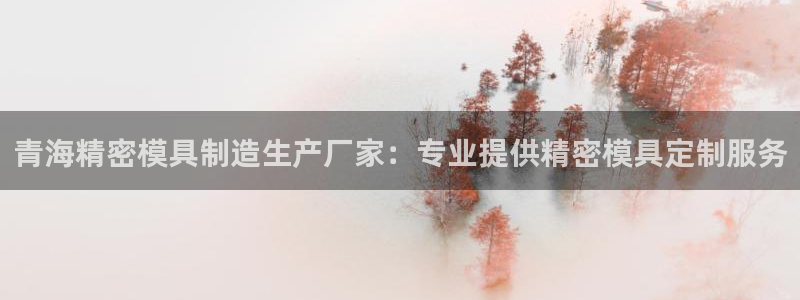 彩神v8手机客户端怎么下载：青海精密模具制造生产厂家：专业提供精密模具定制服务