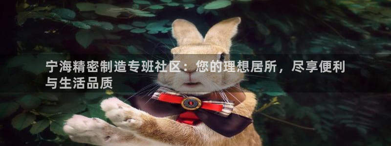 彩神是正规平台吗：宁海精密制造专班社区：您的理想居所，尽享便利
与生活品质