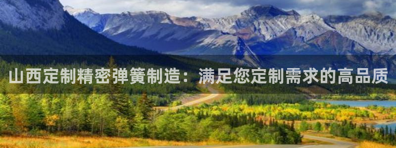 彩神v争霸有限公司：山西定制精密弹簧制造：满足您定制需求的高品质