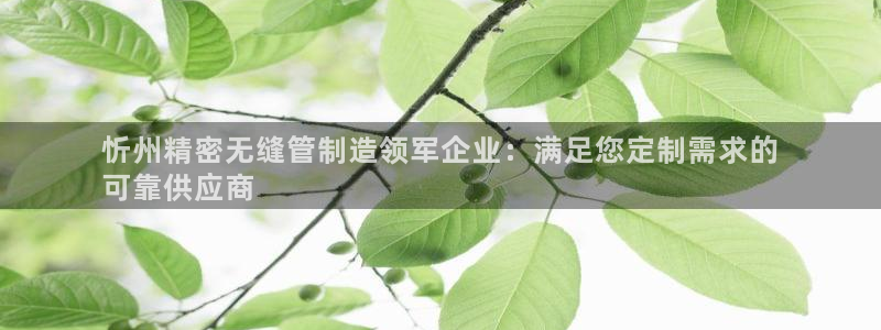 大发彩神官网下载：忻州精密无缝管制造领军企业：满足您定制需求的
可靠供应商