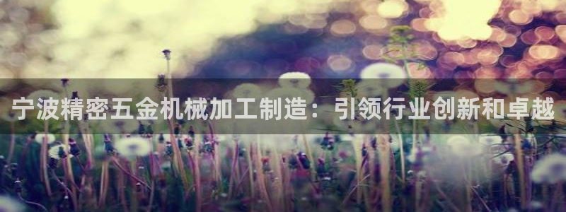 彩神VI首页：宁波精密五金机械加工制造：引领行业创新和卓越