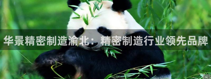 彩神V3大赢家：华景精密制造渝北：精密制造行业领先品牌