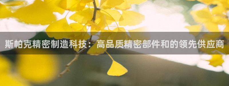 彩神v8客户端：斯帕克精密制造科技：高品质精密部件和的领先供应商