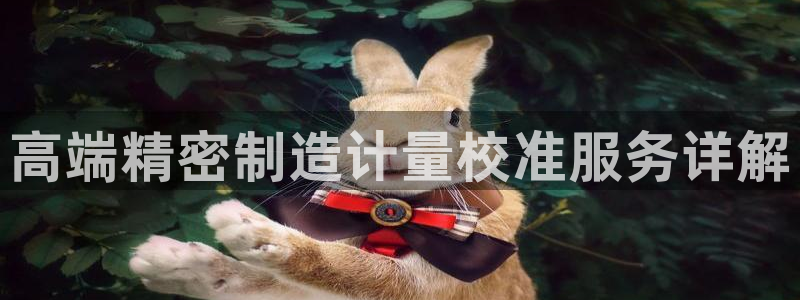 彩神是怎样一个平台：高端精密制造计量校准服务详解