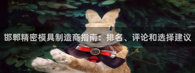 彩神ix官网是哪个公司的：邯郸精密模具制造商指南：排名、评论和选择建议