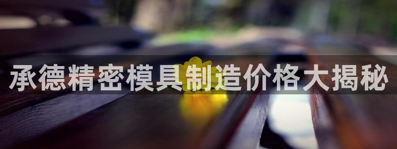 彩神vllⅰ购彩大厅：承德精密模具制造价格大揭秘