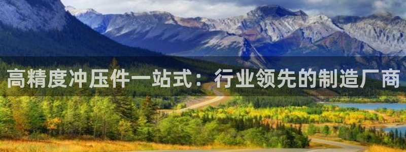 新版彩神v8登录不了：高精度冲压件一站式：行业领先的制造厂商