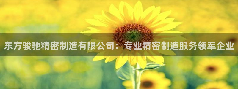 大发彩神最高邀请码：东方骏驰精密制造有限公司：专业精密制造服务领军企业