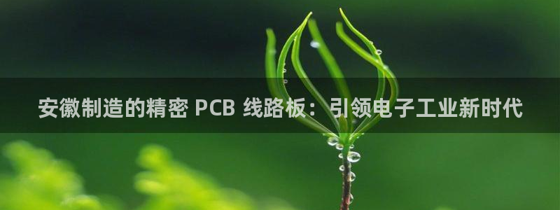 彩神vllⅰ购彩大厅：安徽制造的精密 PCB 线路板：引领电子工业新时代