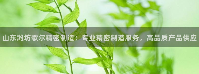 v彩神88iii：山东潍坊歌尔精密制造：专业精密制造服务，高品质产品供应