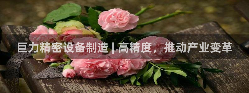 彩神V官网：巨力精密设备制造 | 高精度，推动产业变革