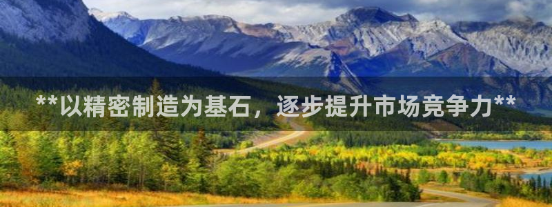 彩神ll能赚钱吗：**以精密制造为基石，逐步提升市场竞争力**
