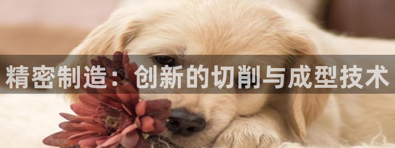 彩神V8平台：精密制造：创新的切削与成型技术