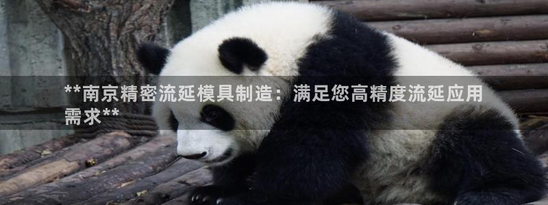 彩神ix平台：**南京精密流延模具制造：满足您高精度流延应用
需求**