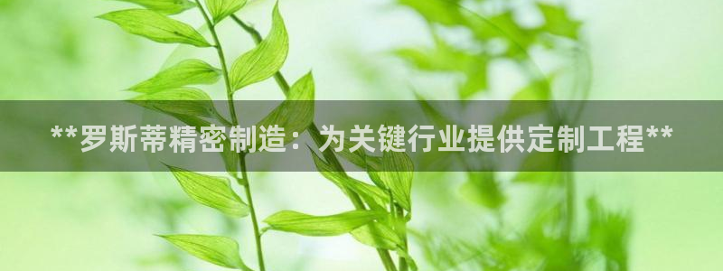 彩神购彩-购彩大厅入口36fr：**罗斯蒂精密制造：为关键行业提供定制工程**