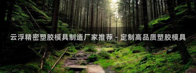 彩神通官网下载：云浮精密塑胶模具制造厂家推荐 - 定制高品质塑胶模具