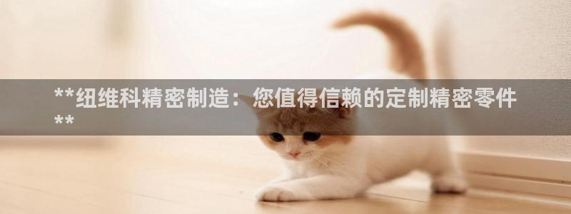 彩神争霸官网登录平台：**纽维科精密制造：您值得信赖的定制精密零件
**