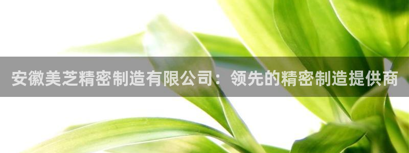 彩神v8手机客户端：安徽美芝精密制造有限公司：领先的精密制造提供商
