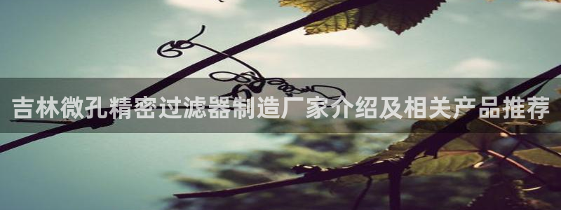 彩神vip购彩大厅：吉林微孔精密过滤器制造厂家介绍及相关产品推荐