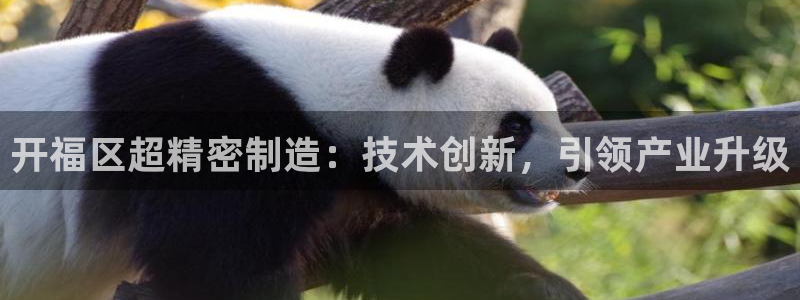彩神趣购彩用户注册：开福区超精密制造：技术创新，引领产业升级