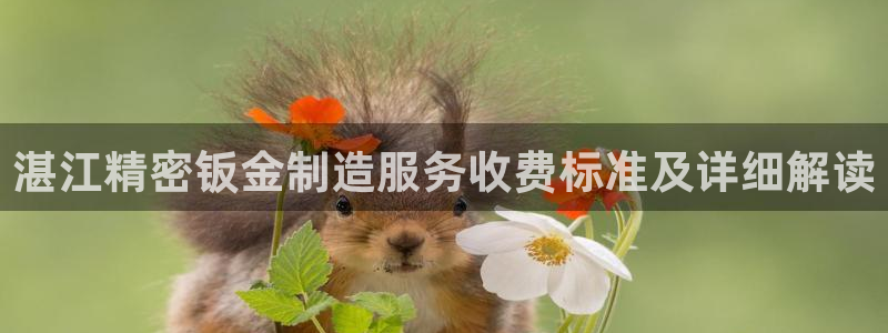 彩神V8有限公司：湛江精密钣金制造服务收费标准及详细解读