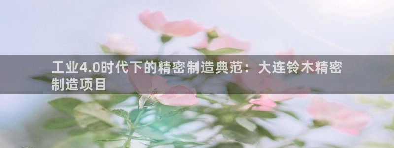 彩神争霸老平台：工业4.0时代下的精密制造典范：大连铃木精密
制造项目