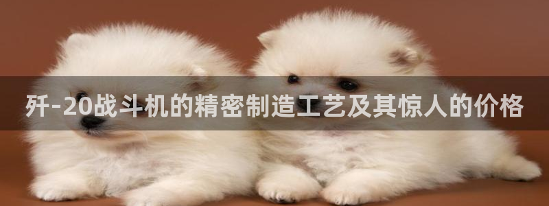 彩神v8下载app：歼-20战斗机的精密制造工艺及其惊人的价格