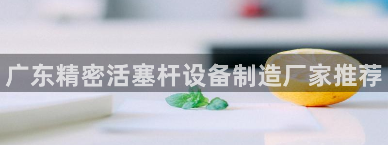 彩神v争霸有限公司：广东精密活塞杆设备制造厂家推荐