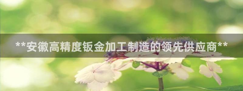 彩神v8手机客户端怎么下载：**安徽高精度钣金加工制造的领先供应商**