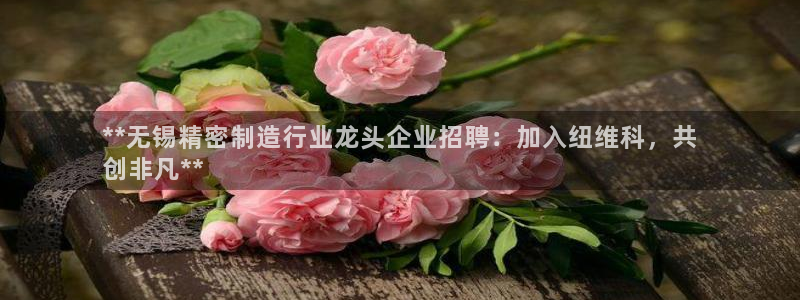 彩神旗下有哪些平台可以看：**无锡精密制造行业龙头企业招聘：加入纽维科，共
创非凡**