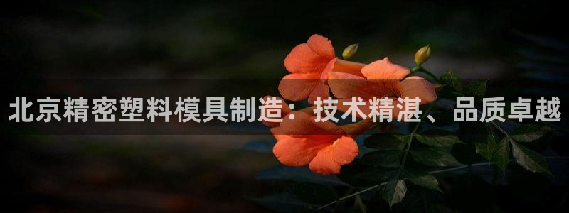 彩神是什么平台的游戏：北京精密塑料模具制造：技术精湛、品质卓越