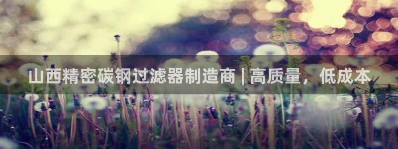 彩神合法吗.是国家认可的吗：山西精密碳钢过滤器制造商 | 高质量，低成本