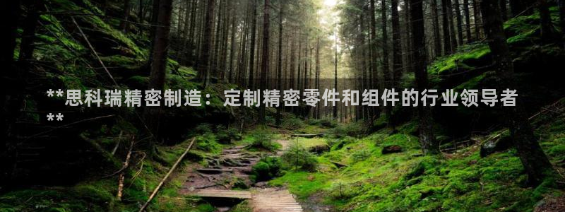 彩神怎么样可以提现：**思科瑞精密制造：定制精密零件和组件的行业领导者
**