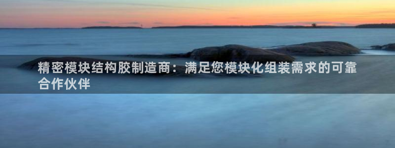 彩神v大众娱乐：精密模块结构胶制造商：满足您模块化组装需求的可靠
合作伙伴