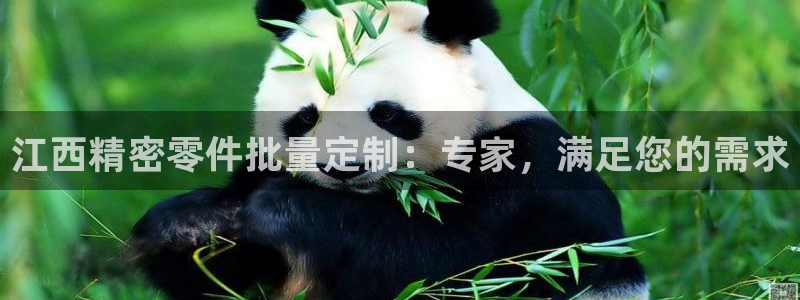 彩神vii官网：江西精密零件批量定制：专家，满足您的需求