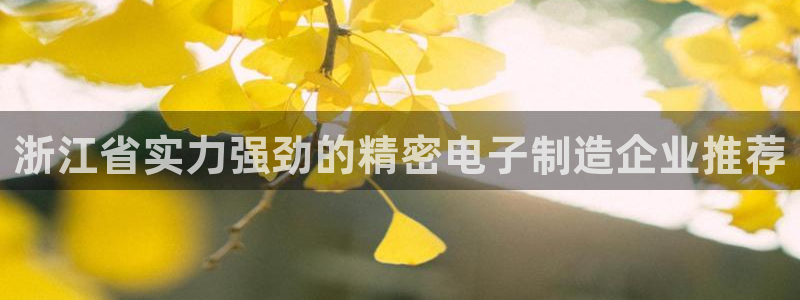 彩神vl官网：浙江省实力强劲的精密电子制造企业推荐