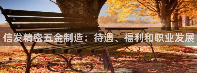 下载彩神争霸谁与我争锋：信发精密五金制造：待遇、福利和职业发展