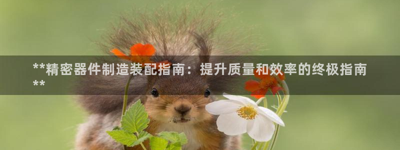 彩神新微聊：**精密器件制造装配指南：提升质量和效率的终极指南
**