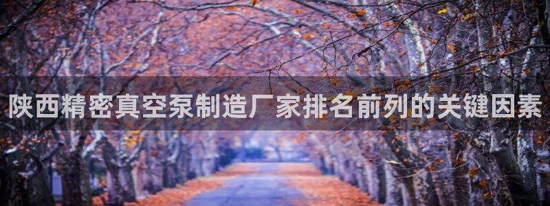 彩神广告有限公司：陕西精密真空泵制造厂家排名前列的关键因素
