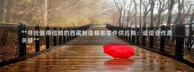 彩神iv能赚钱吗：**寻找值得信赖的西藏制造精密零件供应商：诚信合作是
关键**